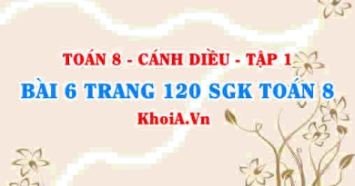Bài 6 trang 120 SGK Toán 8 tập 1 Cánh Diều